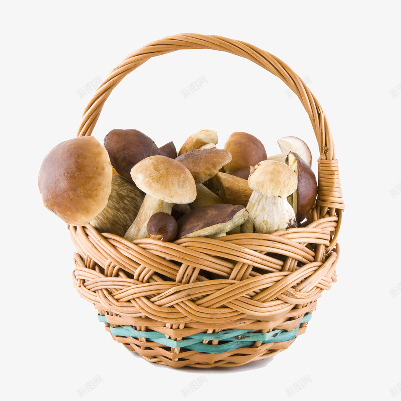 实物木质篮子与蘑菇png免抠素材_新图网 https://ixintu.com 实物食物 手工编织篮子 木质篮子 食物蘑菇 食用菌 食用蘑菇