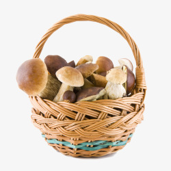 手工蘑菇实物木质篮子与蘑菇高清图片