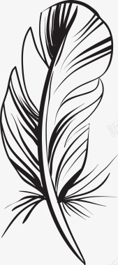 黑色线条羽毛图标图标