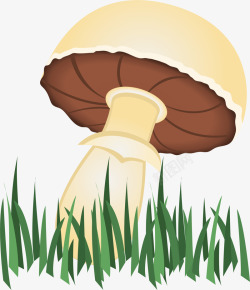 小草蘑菇素材