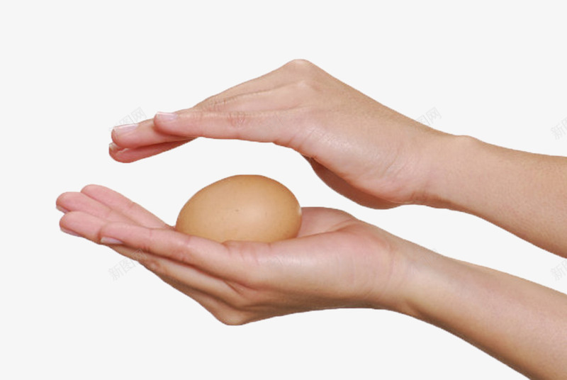 褐色鸡蛋手握着的初生蛋实物png免抠素材_新图网 https://ixintu.com 初产蛋 初生蛋 小母鸡蛋 开窝蛋 没出生的蛋 聪明鸡蛋 鸡蛋