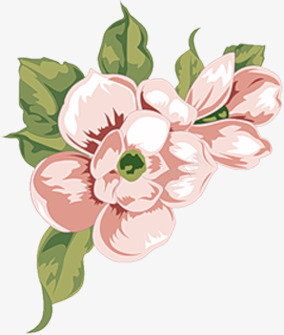 粉色水彩美丽花朵png免抠素材_新图网 https://ixintu.com 水彩 粉色 美丽 花朵