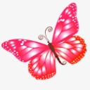 butterfly蝴蝶粉色图标高清图片