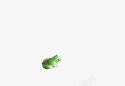 绿色青蛙装饰素材