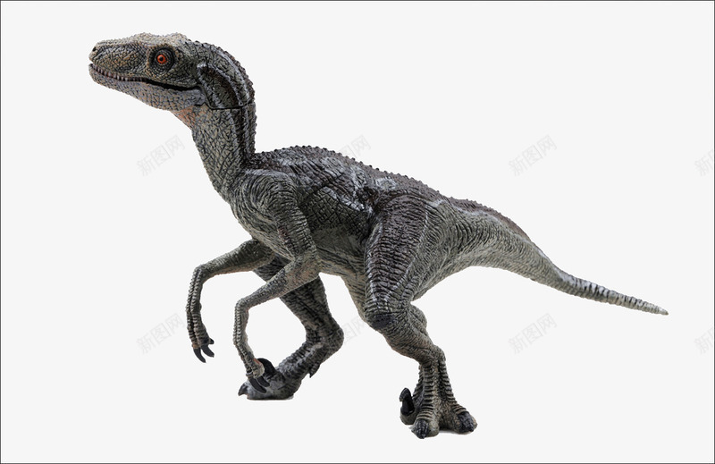 恐龙模型png免抠素材_新图网 https://ixintu.com 动物 塑料 恐龙 模型 玩具