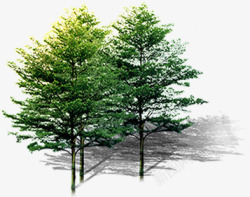 环境场景大树绿化素材