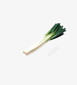 蒜免费png下载蒜苗高清图片