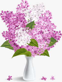 白色花瓶浪漫美丽的紫色薰衣草矢量图高清图片