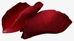 暗红花瓣素材
