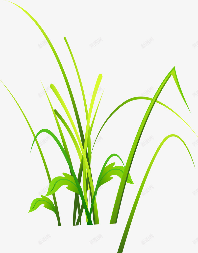 绿色清新草丛png免抠素材_新图网 https://ixintu.com 小草 植物 绿色 绿色草丛 自然 草丛 装饰图案