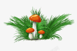 草丛蘑菇素材