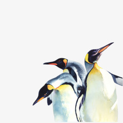 南极生物企鹅水彩高清图片