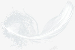 鸭毛漂浮白色羽毛高清图片