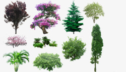多种美丽植物大树素材
