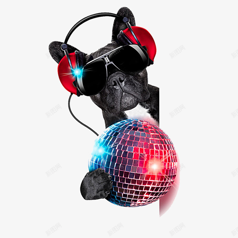 彩色迪斯科球png免抠素材_新图网 https://ixintu.com disco 墨镜 宠物 拿着迪斯科球的狗 狗 耳机 迪斯科球