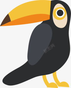 矢量巨嘴鸟免抠PNG有趣的动物矢量图高清图片
