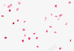 粉色花瓣飞舞漂浮素材