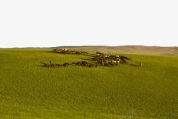 草原自然牧场素材