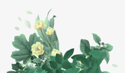 唯美手绘花卉素材