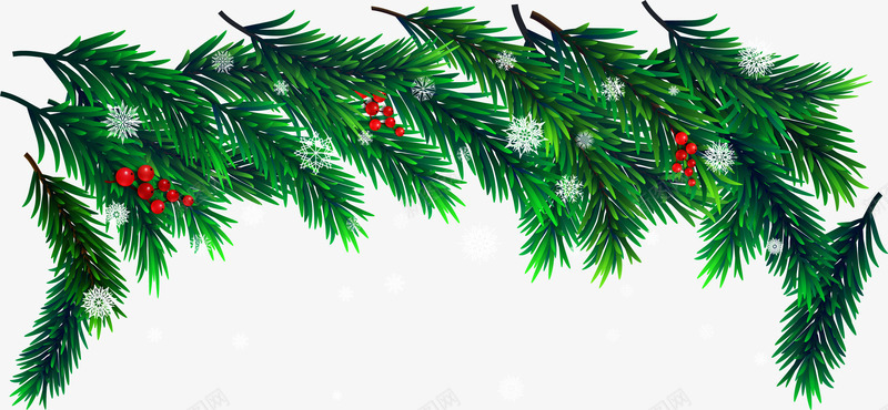 绿色松枝冬青png免抠素材_新图网 https://ixintu.com 冬季 圣诞快乐 圣诞节 新年快乐 植物 绿色冬青