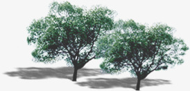 摄影环境植物大树png免抠素材_新图网 https://ixintu.com 大树 摄影 植物 环境