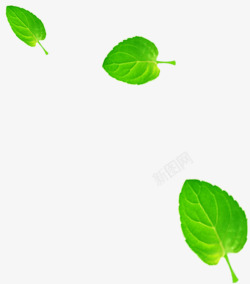 绿色淡雅植物树叶飘浮素材