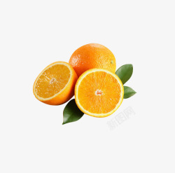 水果橙子植物素材