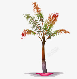 彩色的热带植物装饰素材