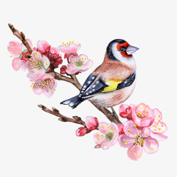 卡通手绘美丽的桃花小鸟素材