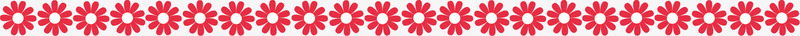 花朵红色边条图标图标