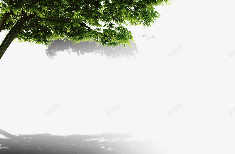 树png免抠素材_新图网 https://ixintu.com 大树 树荫