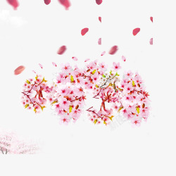 樱花树木及樱花瓣素材
