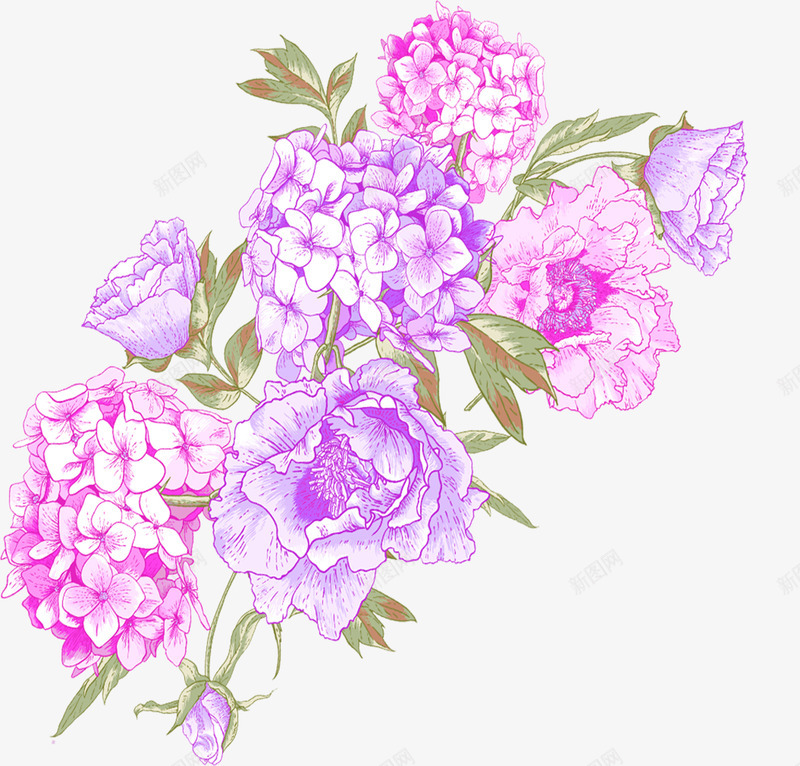 紫色手绘美丽花朵png免抠素材_新图网 https://ixintu.com 紫色 美丽 花朵