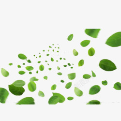 绿色漂浮飞散叶子素材