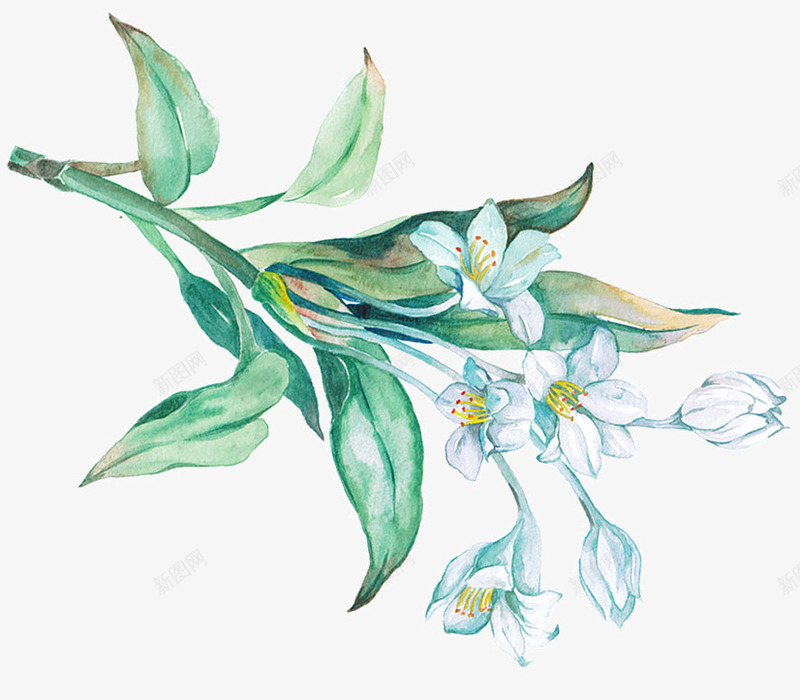 卡通手绘水彩花卉png免抠素材_新图网 https://ixintu.com 创意 卡通手绘 小花 水彩花卉 美丽的花朵 青色