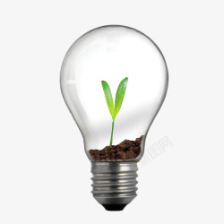 灯泡中的植物素材