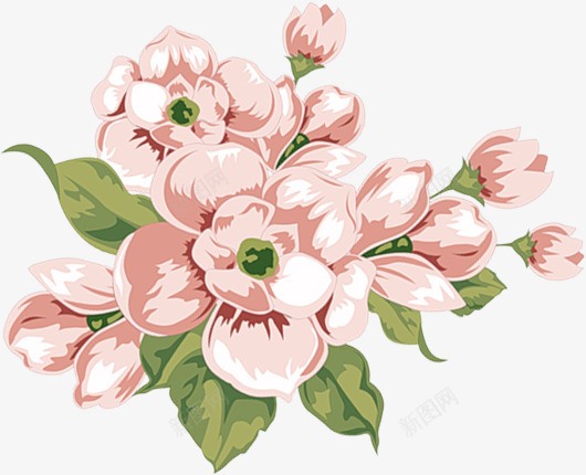 粉色水彩花朵植物美丽png免抠素材_新图网 https://ixintu.com 植物 水彩 粉色 美丽 花朵 设计