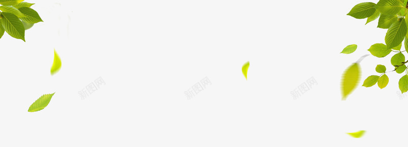 绿色树枝叶子漂浮装饰图案png免抠素材_新图网 https://ixintu.com 免抠PNG 叶子漂浮 树枝 海报 绿色 装饰图案