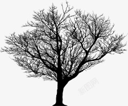 一株树干冬季枯树图标高清图片
