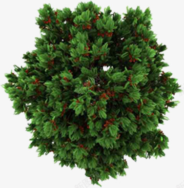 创意合成绿色的植物大树造型png免抠素材_新图网 https://ixintu.com 创意 合成 大树 植物 绿色 造型