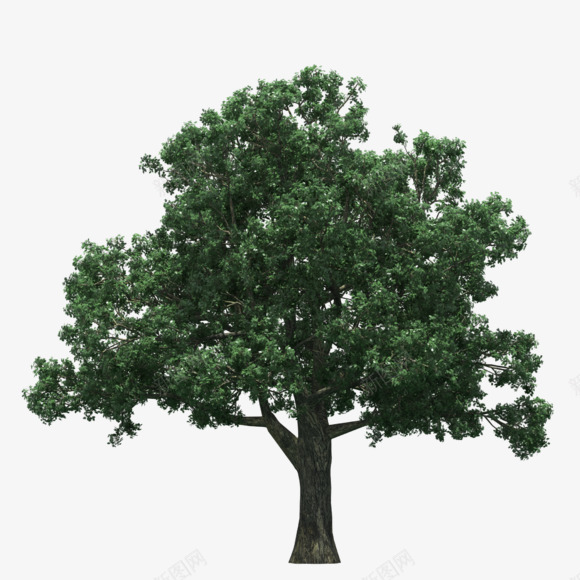 绿色茂盛大树树木装饰图案png免抠素材_新图网 https://ixintu.com 免抠PNG 大树 树木 绿色 茂盛 装饰图案
