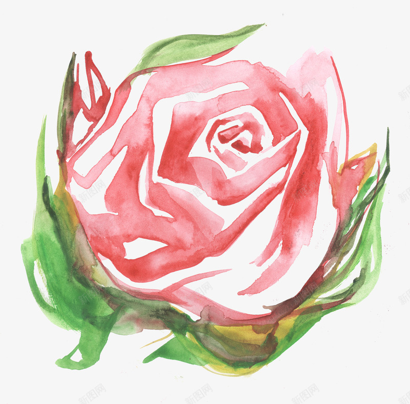 粉色美丽的花朵水彩png免抠素材_新图网 https://ixintu.com 唯美 彩色 彩色玫瑰 水彩 粉色玫瑰 绿色 美丽 花卉 花朵