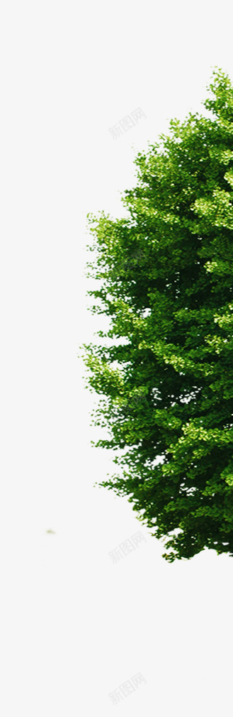合成摄影绿色的大树造型效果png免抠素材_新图网 https://ixintu.com 合成 大树 摄影 效果 绿色 造型