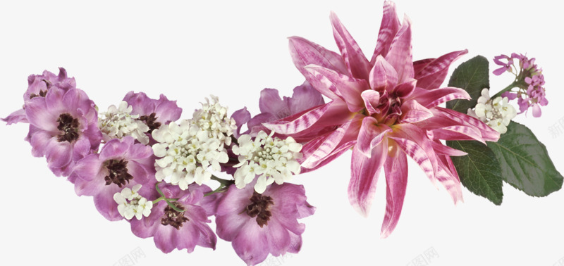 花朵装饰png免抠素材_新图网 https://ixintu.com 植物 白色碎花 紫色花朵 美丽