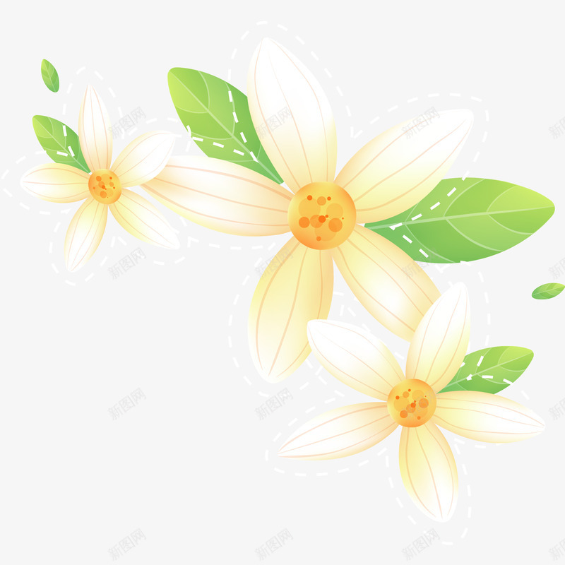 精美手绘白色小花png免抠素材_新图网 https://ixintu.com 叶子 手绘图 美丽的 花卉 花朵 花瓣 装饰