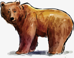 水彩美术水彩狗熊矢量图高清图片