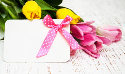 鲜花壁纸背景素材图片美丽的郁金香和卡片高清图片