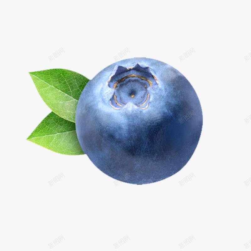 手绘蓝莓png免抠素材_新图网 https://ixintu.com 叶子 果实 水彩 水果 绿叶 蓝色 蓝莓 食物