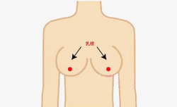人体胸部女生胸部穴位高清图片