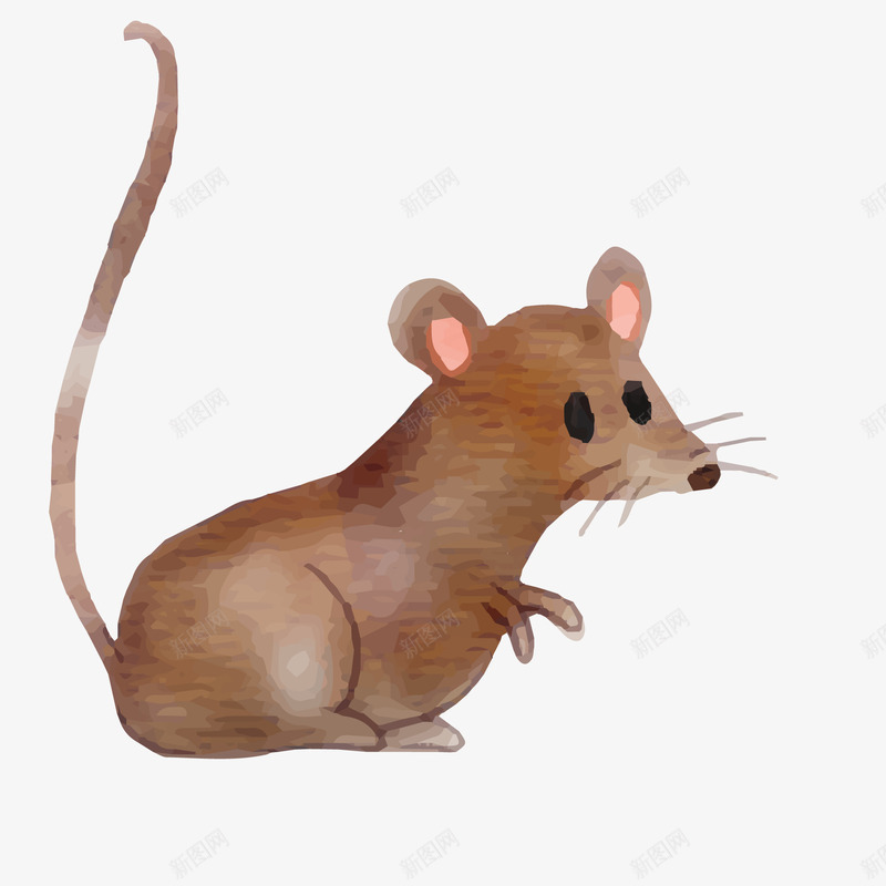 水彩手绘棕色的小老鼠矢量图ai免抠素材_新图网 https://ixintu.com 动物设计 小老鼠 手绘 棕色 水彩 矢量图